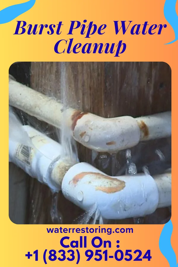Burst Pipe Water Cleanup in Tawas City, MI