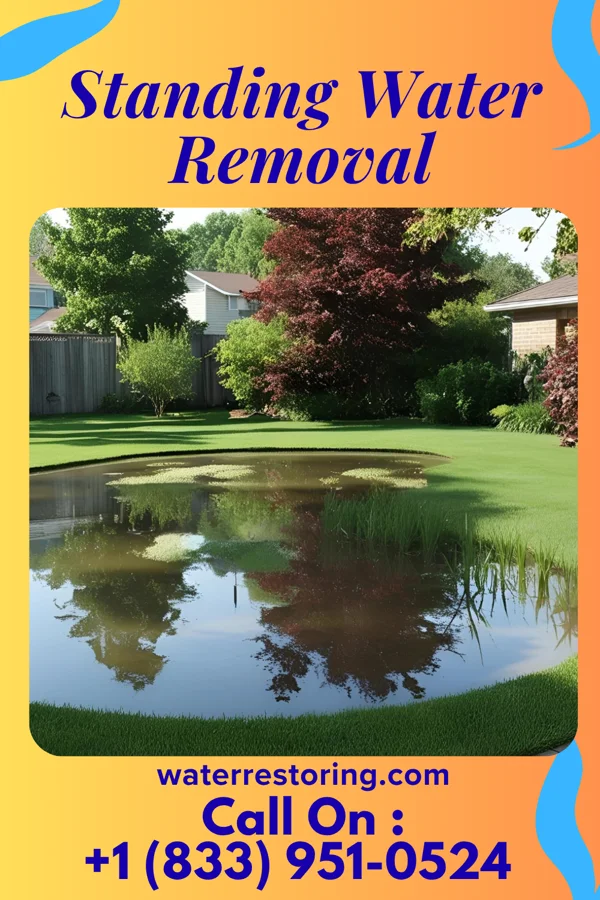 Standing Water Removal in Tawas City, MI